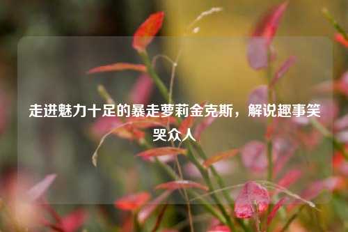 走进魅力十足的暴走萝莉金克斯，解说趣事笑哭众人