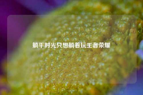 躺平时光只想躺着玩王者荣耀