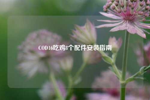 COD16吃鸡8个配件安装指南