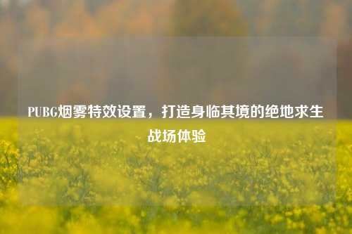 PUBG烟雾特效设置，打造身临其境的绝地求生战场体验