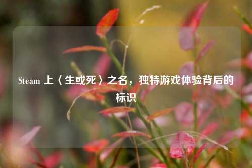Steam 上〈生或死〉之名，独特游戏体验背后的标识