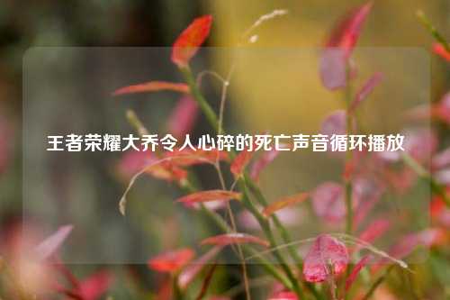 王者荣耀大乔令人心碎的死亡声音循环播放