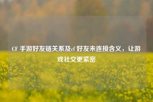 CF 手游好友链关系及cf 好友未连接含义，让游戏社交更紧密