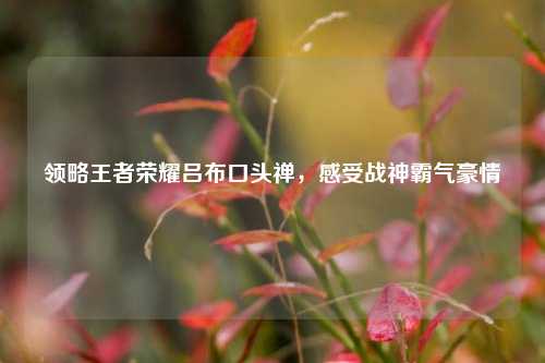 领略王者荣耀吕布口头禅，感受战神霸气豪情