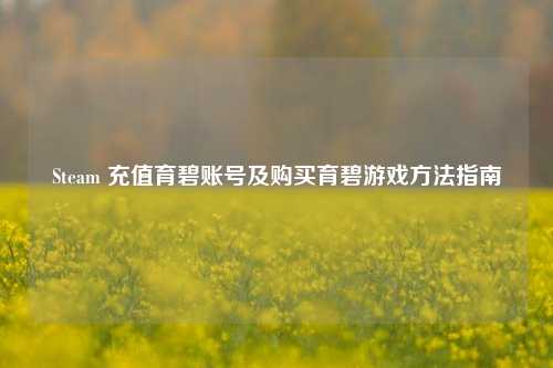 Steam 充值育碧账号及购买育碧游戏 *** 指南