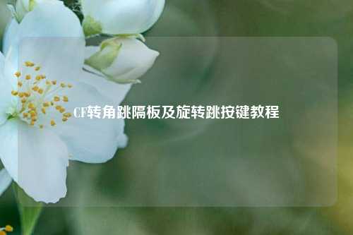 CF转角跳隔板及旋转跳按键教程
