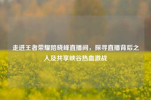 走进王者荣耀陪晓峰直播间，探寻直播背后之人及共享峡谷热血激战
