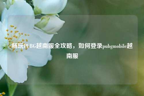 畅玩PUBG越南服全攻略，如何登录pubgmobile越南服