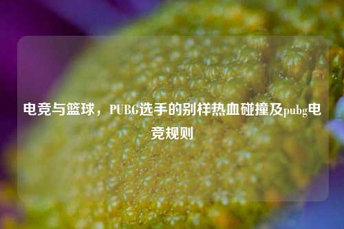电竞与篮球，PUBG选手的别样热血碰撞及pubg电竞规则