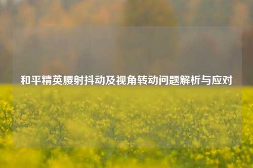 和平精英腰射抖动及视角转动问题解析与应对