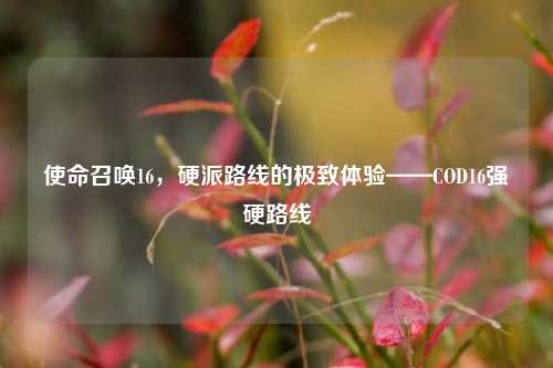 使命召唤16，硬派路线的极致体验——COD16强硬路线