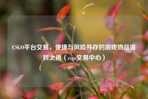 CSGO平台交易，便捷与风险并存的游戏物品流转之道（csgo交易中心）