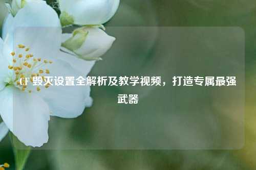 CF 毁灭设置全解析及教学视频，打造专属最强武器
