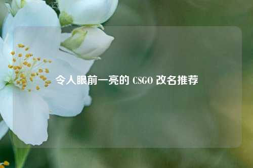 令人眼前一亮的 CSGO 改名推荐