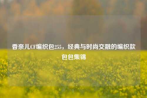 香奈儿CF编织包255，经典与时尚交融的编织款包包集锦