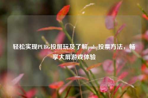轻松实现PUBG投屏玩及了解pubg投票 *** ，畅享大屏游戏体验
