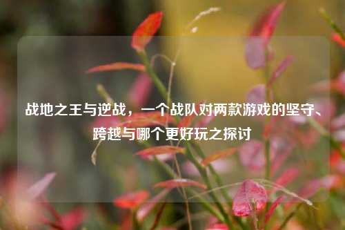 战地之王与逆战，一个战队对两款游戏的坚守、跨越与哪个更好玩之探讨