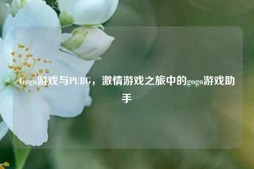 Gogo游戏与PUBG， *** 游戏之旅中的gogo游戏助手