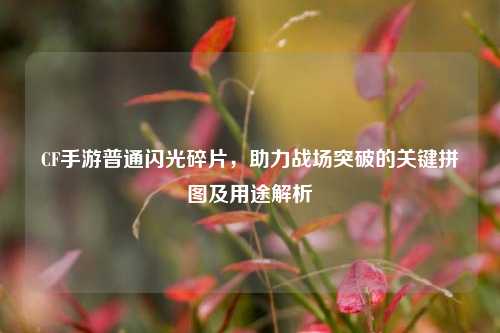 CF手游普通闪光碎片，助力战场突破的关键拼图及用途解析