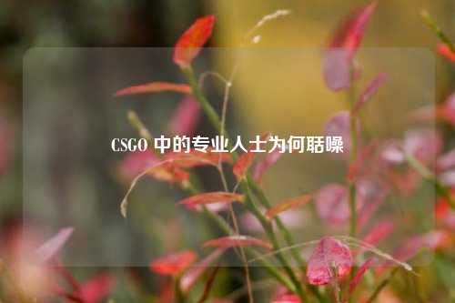 CSGO 中的专业人士为何聒噪
