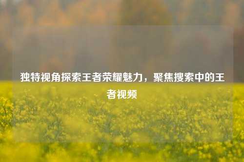 独特视角探索王者荣耀魅力，聚焦搜索中的王者视频