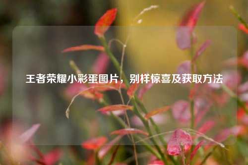王者荣耀小彩蛋图片，别样惊喜及获取 *** 
