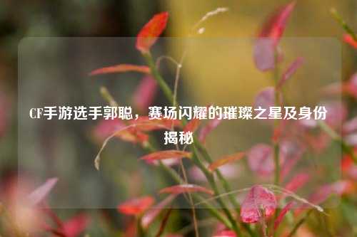 CF手游选手郭聪，赛场闪耀的璀璨之星及身份揭秘