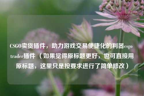 CSGO卖货插件，助力游戏交易便捷化的利器csgo trader插件 （如果觉得原标题更好，也可直接用原标题，这里只是按要求进行了简单修改）