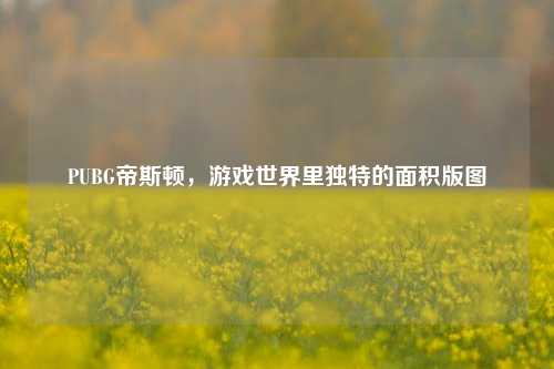 PUBG帝斯顿，游戏世界里独特的面积版图