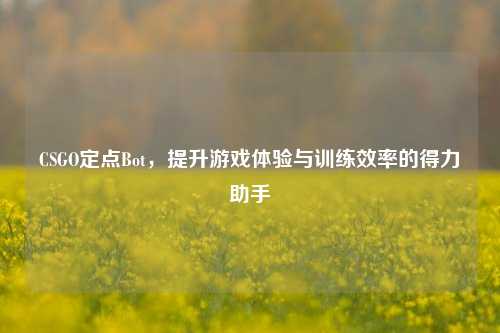 CSGO定点Bot，提升游戏体验与训练效率的得力助手