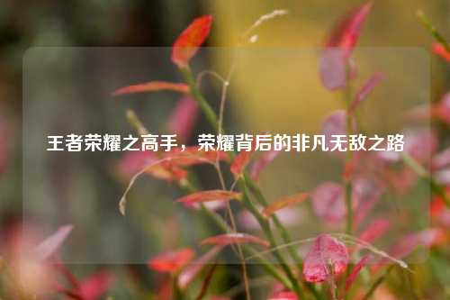 王者荣耀之高手，荣耀背后的非凡无敌之路