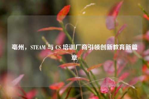 亳州，STEAM 与 CS 培训厂商引领创新教育新篇章