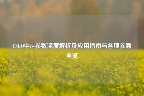 CSGO中rw参数深度解析及应用指南与各项参数全览
