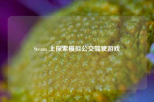 Steam 上探索模拟公交驾驶游戏