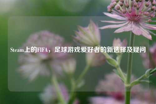 Steam上的FIFA，足球游戏爱好者的新选择及疑问