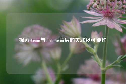 探索steam与chrome背后的关联及可能性