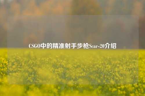 CSGO中的精准射手步枪Scar-20介绍