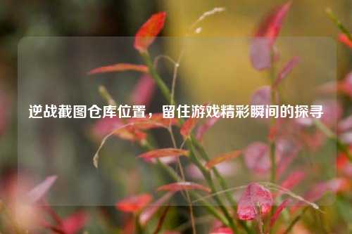 逆战截图仓库位置，留住游戏精彩瞬间的探寻
