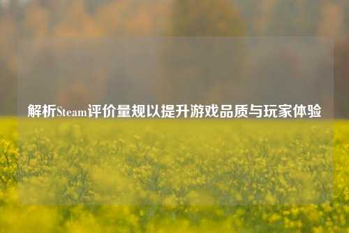 解析Steam评价量规以提升游戏品质与玩家体验
