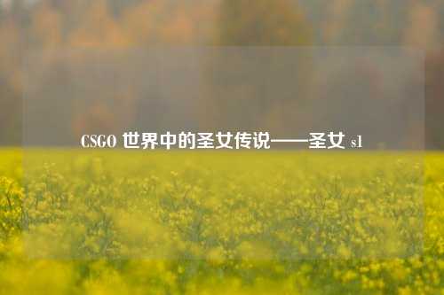 CSGO 世界中的圣女传说——圣女 s1