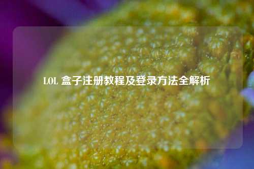 LOL 盒子注册教程及登录 *** 全解析