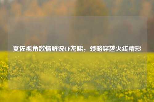 夏佐视角 *** 解说CF龙啸，领略穿越火线精彩