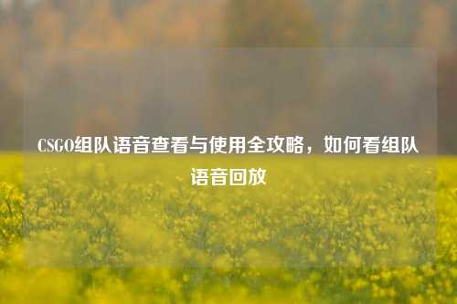 CSGO组队语音查看与使用全攻略，如何看组队语音回放