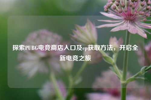 探索PUBG电竞商店入口及ep获取 *** ，开启全新电竞之旅