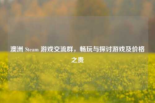 澳洲 Steam 游戏交流群，畅玩与探讨游戏及价格之贵