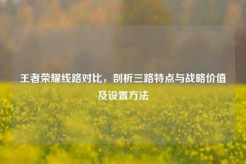 王者荣耀线路对比，剖析三路特点与战略价值及设置 *** 