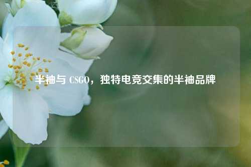 半袖与 CSGO，独特电竞交集的半袖品牌