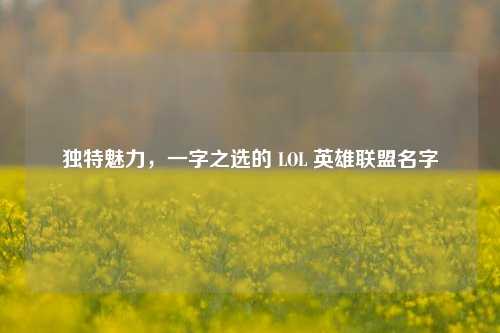 独特魅力，一字之选的 LOL 英雄联盟名字