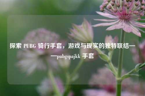 探索 PUBG 骑行手套，游戏与现实的独特联结——pubgspajkk 手套