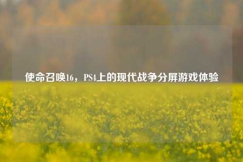 使命召唤16，PS4上的现代战争分屏游戏体验